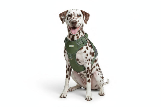 Olive green canvas travel harness on dog — side view
