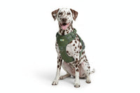 Olive green canvas travel harness on dog — side view