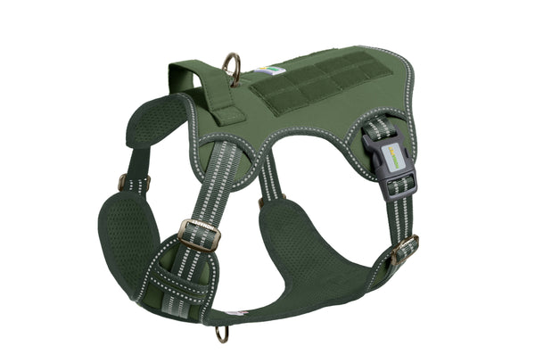 Canvas Travel Harness